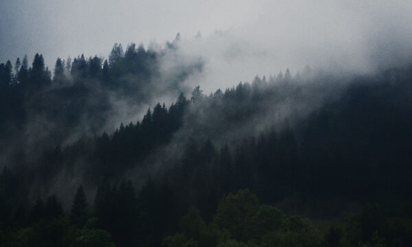 roksolana-zasiadko-112873-unsplash